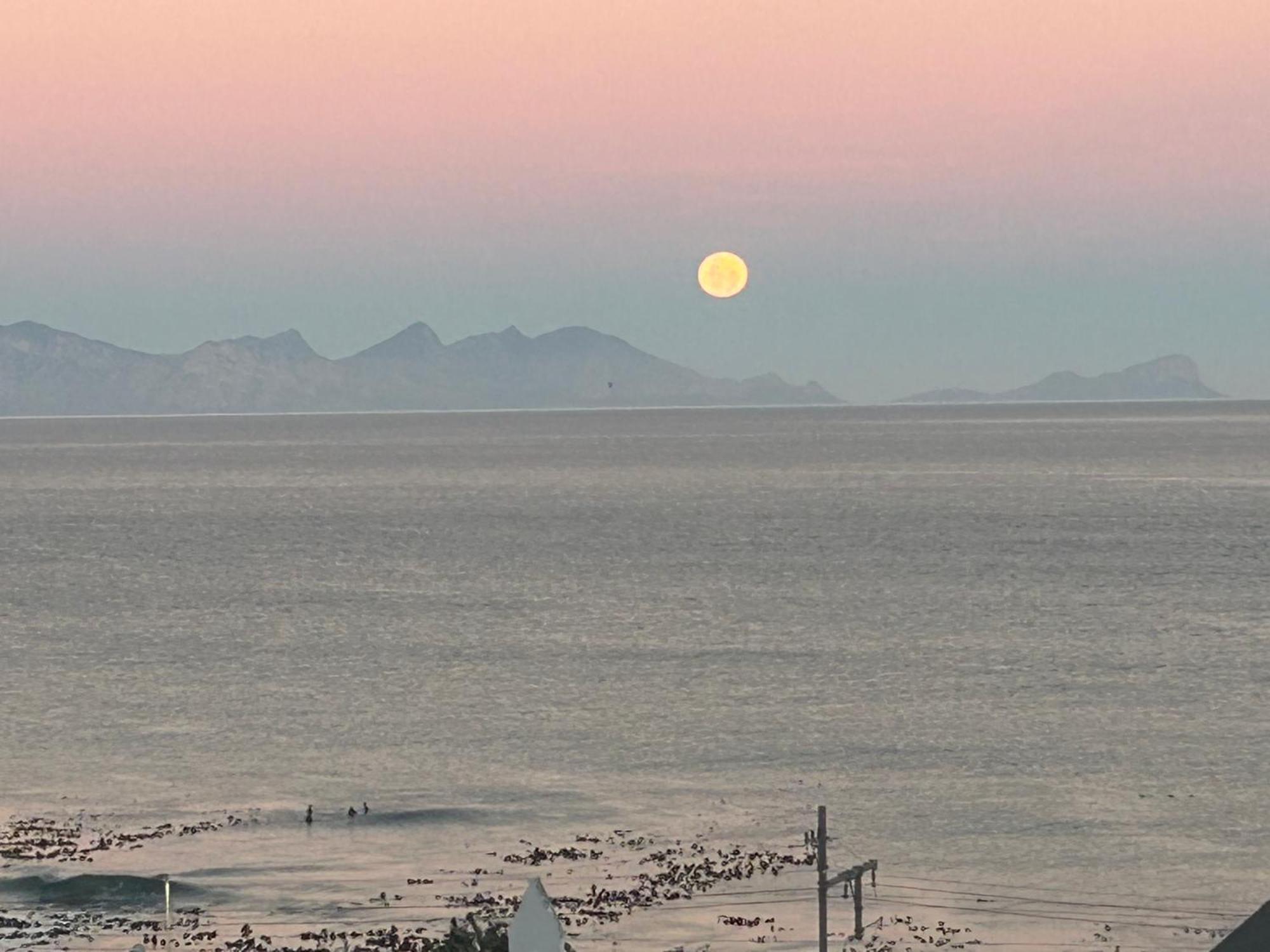 Apartament Whalehaven Kalk Bay Zewnętrze zdjęcie